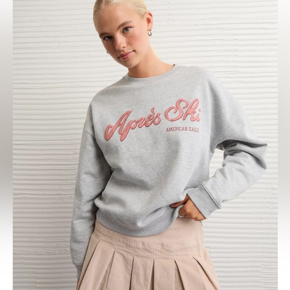 AE L Grey Pink Graphic Apres Ski Crew Relaxed Cotton Sweatshirt